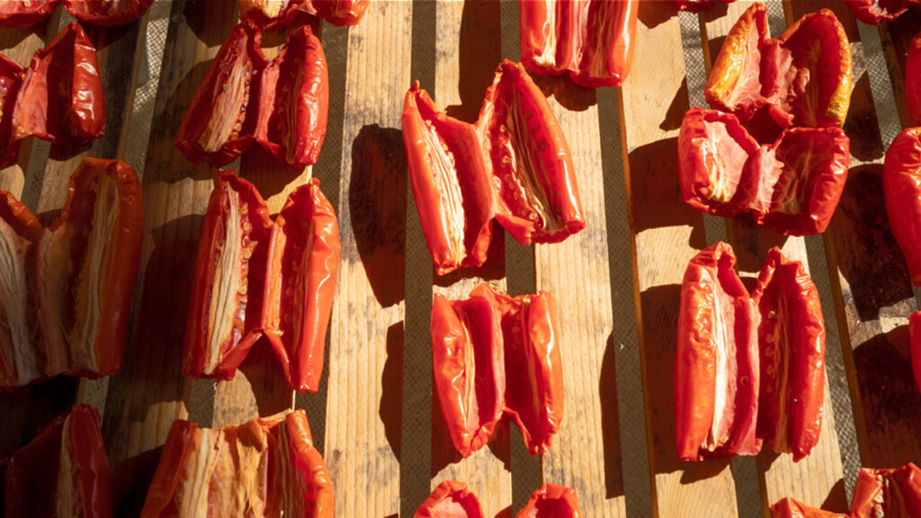 Tomatoes dried on the upper side