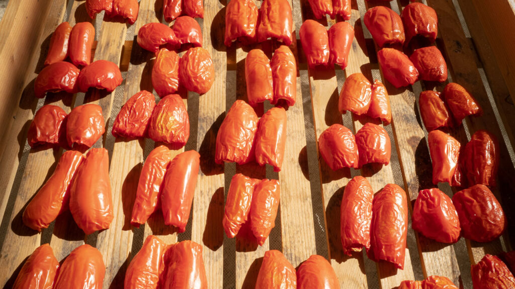 Back side sliced and dried tomatoes