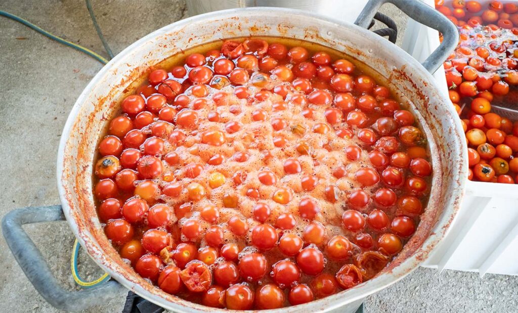 Cooking Tomatoes