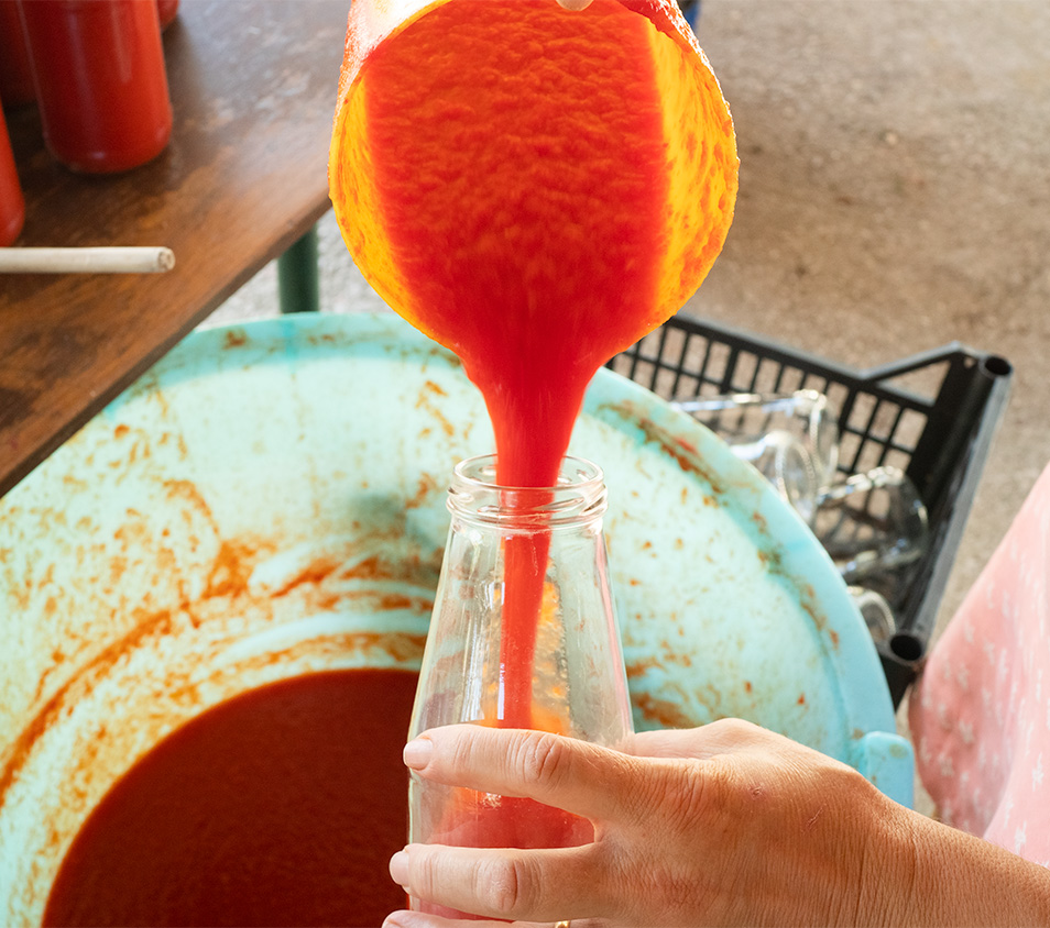 Filling Bottles with Tomato Salse