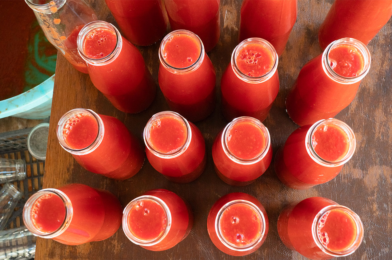 Bottles of tomato sauce