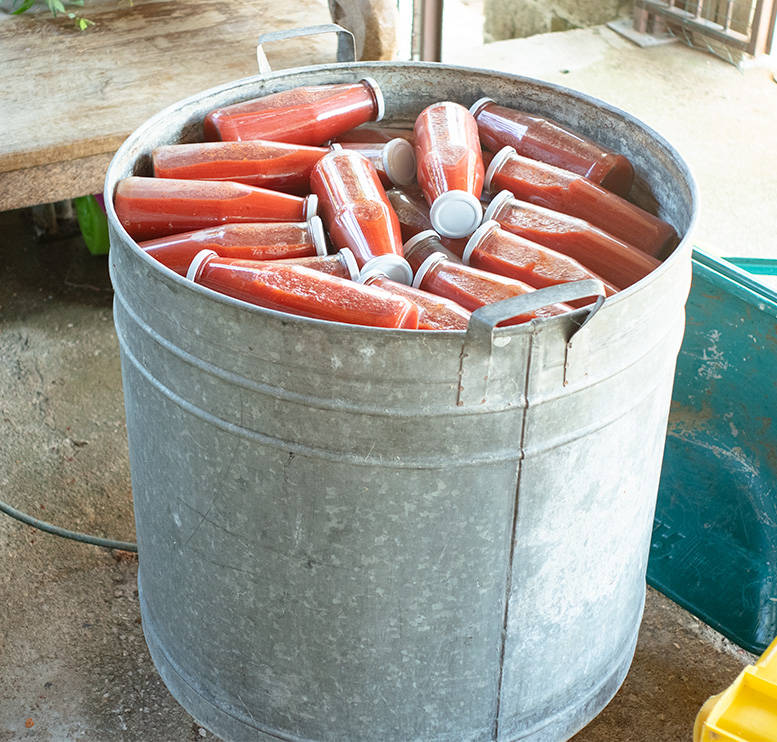 Boiling tomato salse bottles