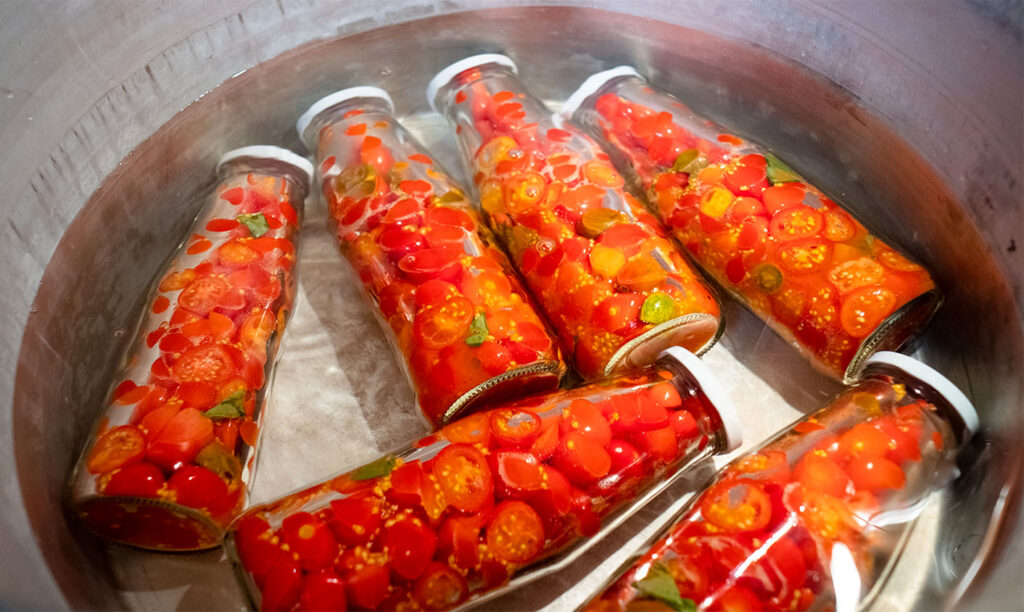 Tomatoes bottles in a pot filled with waterwater